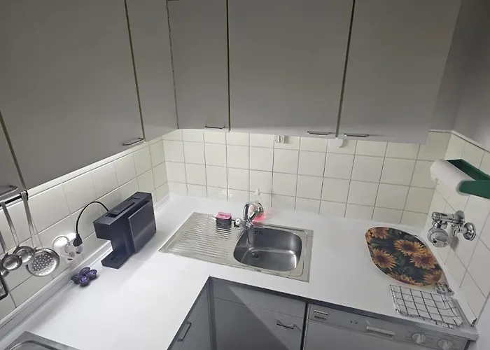 Panorama 公寓 巴特莱辛哈尔